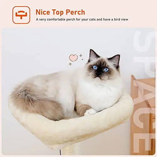 PEQULTI Cat Tree Modern Cat Tower for Indoor Cats,Multilevel Cat Play House with Large Condo, Spacious Hammock, Cozy Top Perch,Scratching Post and Dangling Balls PEQULTI