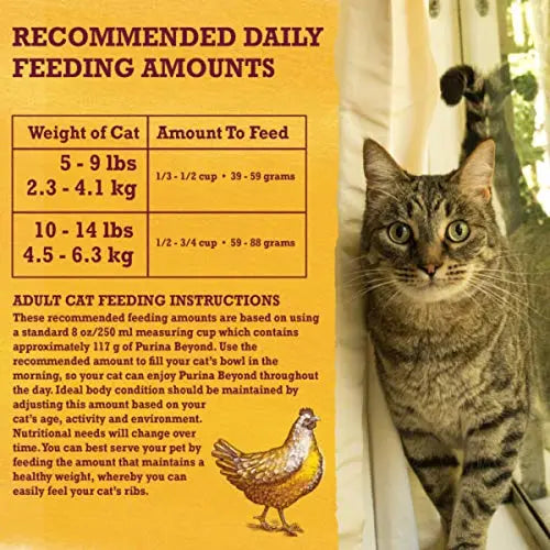 Purina Beyond Natural Dry Cat Food - Chicken & Oatmeal Recipe, 6 lb Beyond