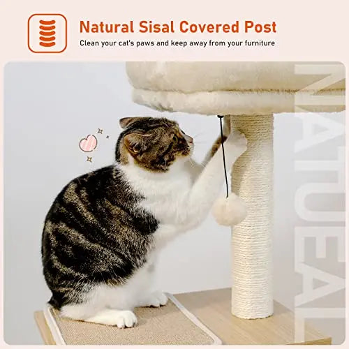 PEQULTI Cat Tree Modern Cat Tower for Indoor Cats,Multilevel Cat Play House with Large Condo, Spacious Hammock, Cozy Top Perch,Scratching Post and Dangling Balls PEQULTI