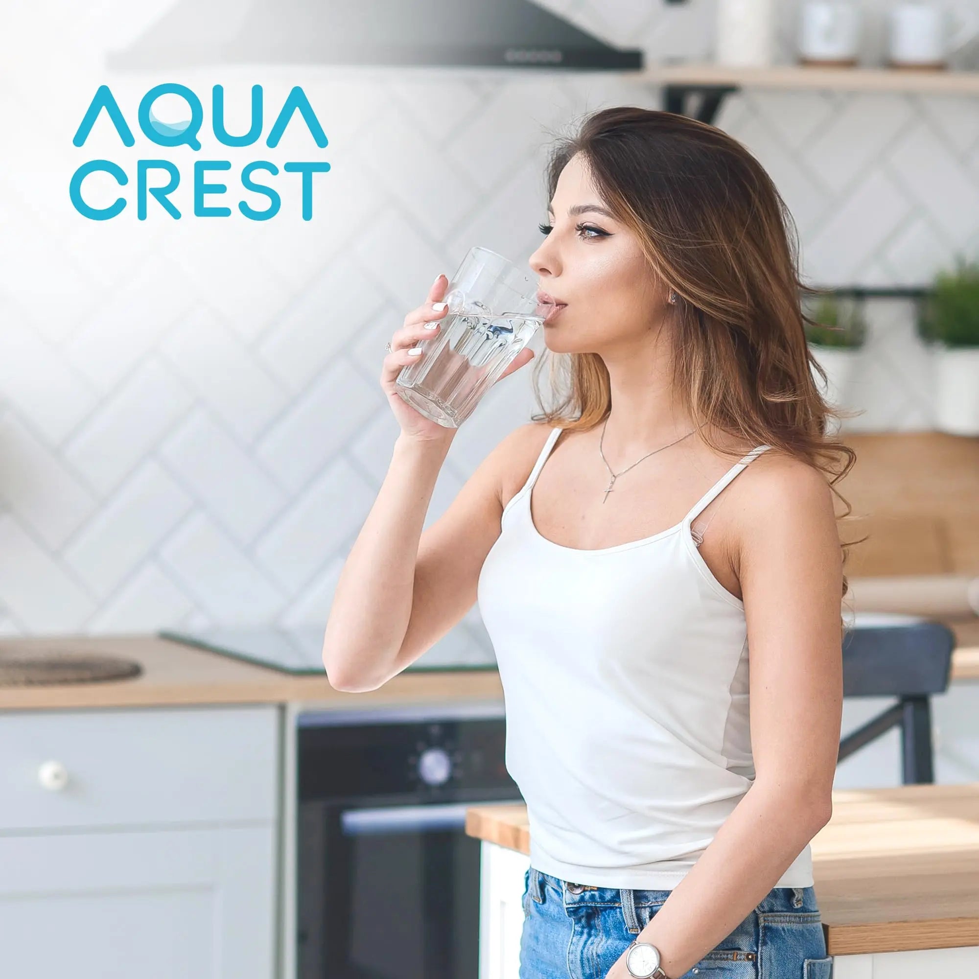 AQUA CREST NSF/ANSI Certified Replacement Water Filters - 2 Pack for Zero Water Pitchers AQUA CREST