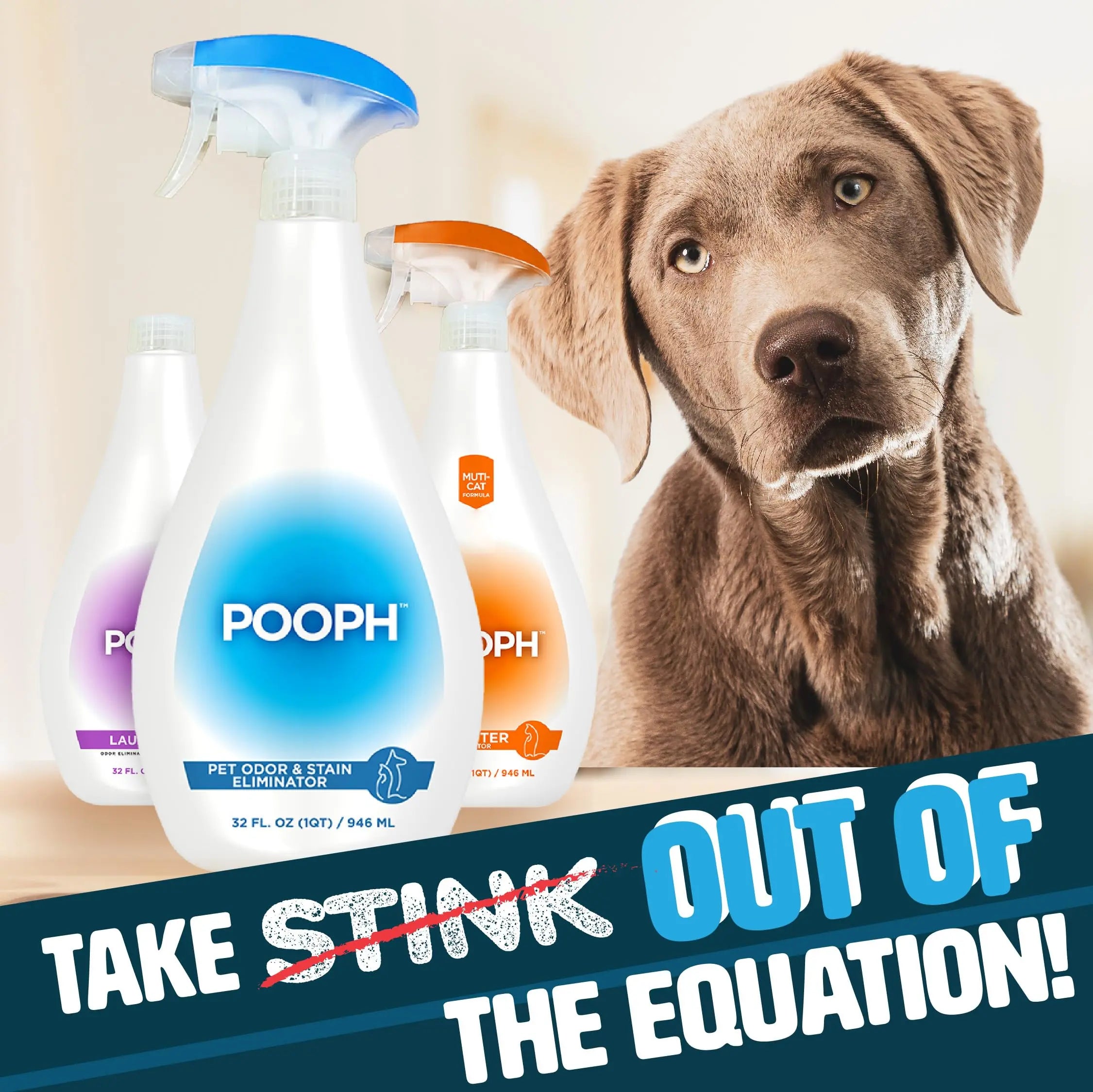 Pooph Pet Odor Eliminator, 32oz Spray - Dismantles Odors on a Molecular Basis, Dogs, Cats, Freshener, Urine, Poop, Pee, Deodorizer, Natures, Puppy, Fresh, Clean, Furniture, Potty, Safe POOPH