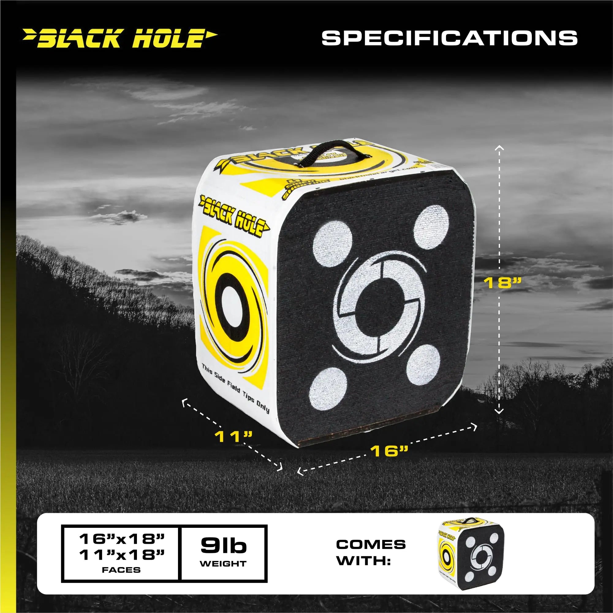 Field Logic Black Hole Archery Target 18" Field Logic