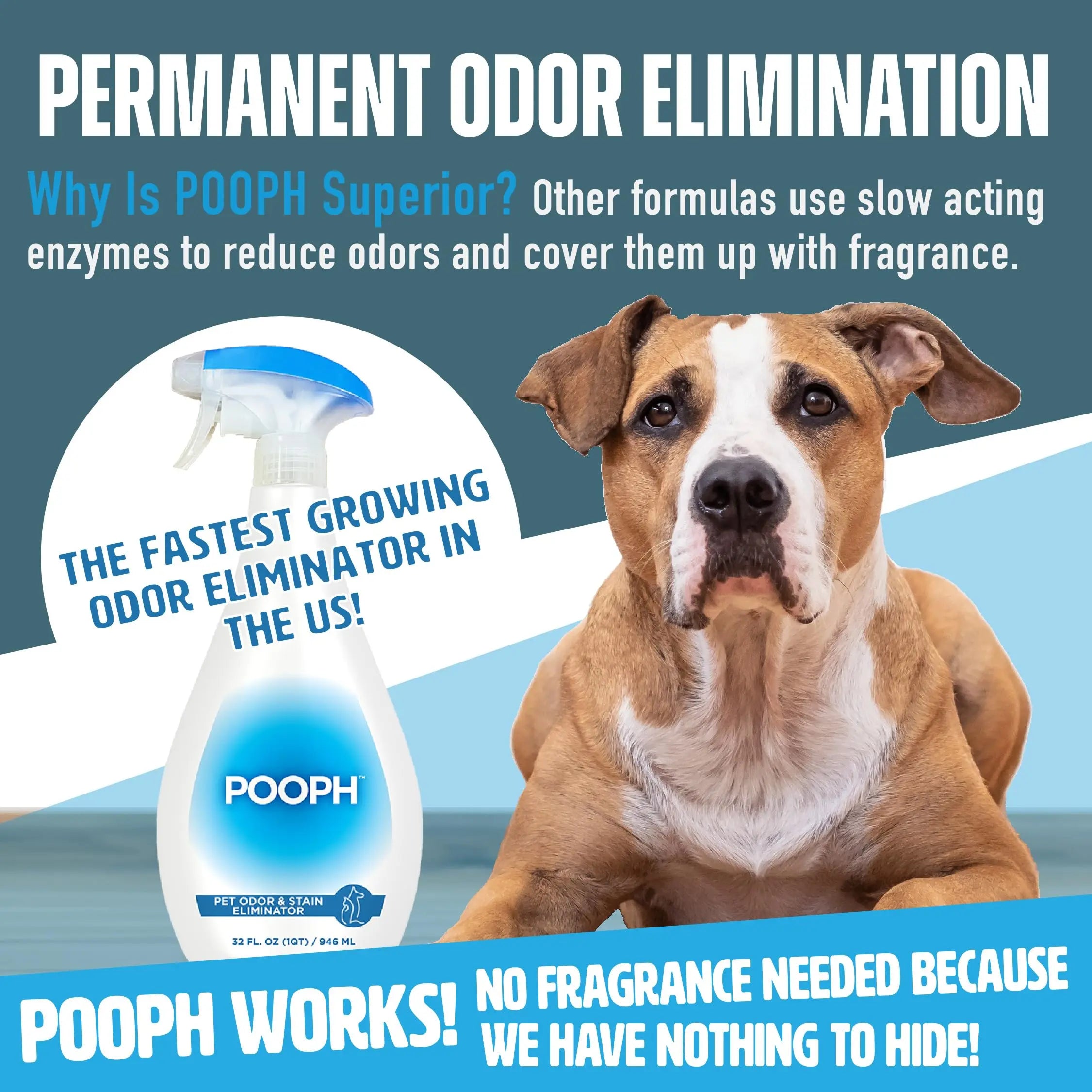 Pooph Pet Odor Eliminator, 32oz Spray - Dismantles Odors on a Molecular Basis, Dogs, Cats, Freshener, Urine, Poop, Pee, Deodorizer, Natures, Puppy, Fresh, Clean, Furniture, Potty, Safe POOPH